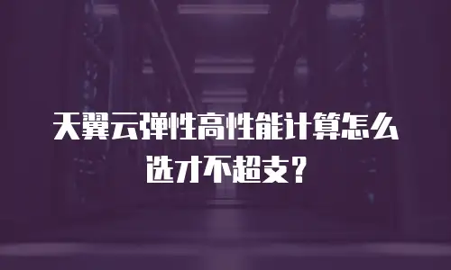 天翼云弹性高性能计算怎么选才不超支？