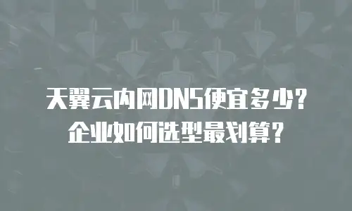 天翼云内网DNS便宜多少？企业如何选型最划算？