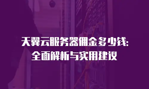 天翼云服务器佣金多少钱：全面解析与实用建议