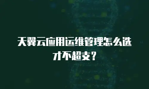 天翼云应用运维管理怎么选才不超支？
