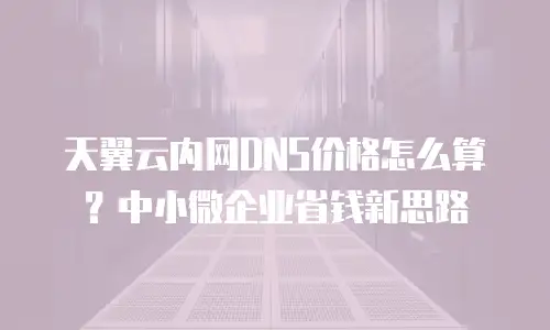 天翼云内网DNS价格怎么算？中小微企业省钱新思路