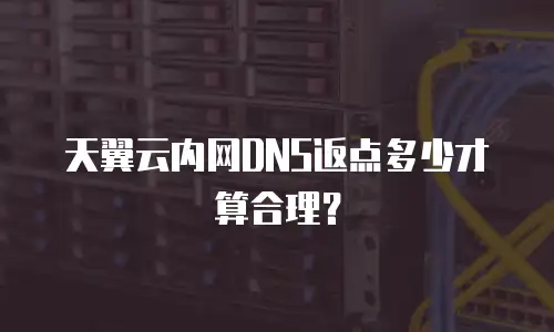 天翼云内网DNS返点多少才算合理？