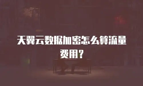 天翼云数据加密怎么算流量费用？