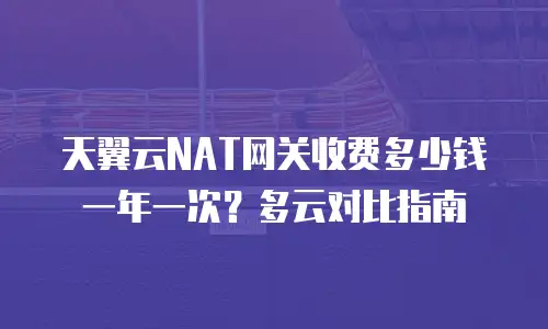 天翼云NAT网关收费多少钱一年一次？多云对比指南
