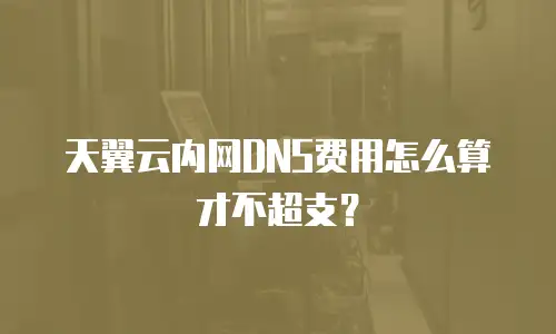 天翼云内网DNS费用怎么算才不超支？