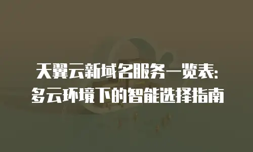 天翼云新域名服务一览表：多云环境下的智能选择指南
