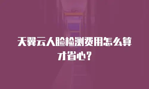 天翼云人脸检测费用怎么算才省心？