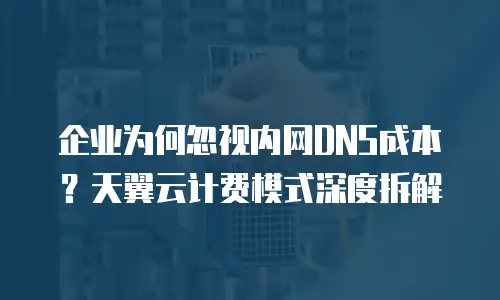 企业为何忽视内网DNS成本？天翼云计费模式深度拆解