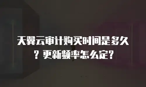 天翼云审计购买时间是多久？更新频率怎么定？