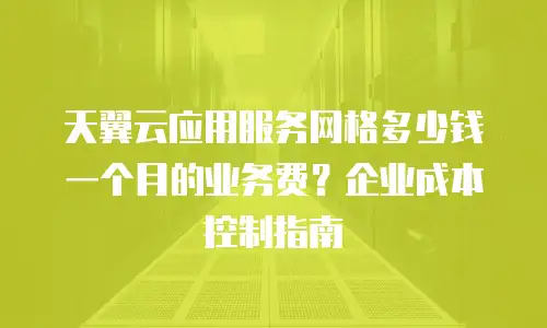 天翼云应用服务网格多少钱一个月的业务费？企业成本控制指南