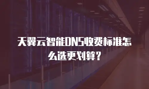 天翼云智能DNS收费标准怎么选更划算？