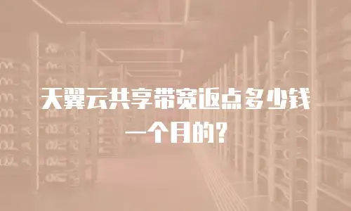 天翼云共享带宽返点多少钱一个月的？