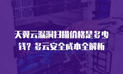 天翼云漏洞扫描价格是多少钱？多云安全成本全解析