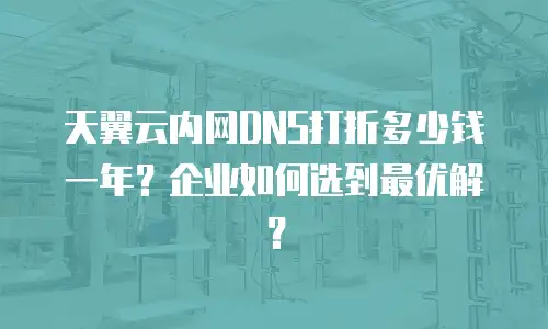 天翼云内网DNS打折多少钱一年？企业如何选到最优解？