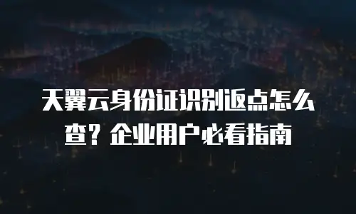 天翼云身份证识别返点怎么查？企业用户必看指南