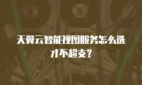 天翼云智能视图服务怎么选才不超支？