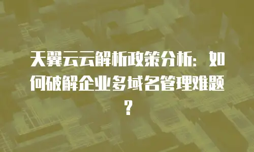 天翼云云解析政策分析：如何破解企业多域名管理难题？