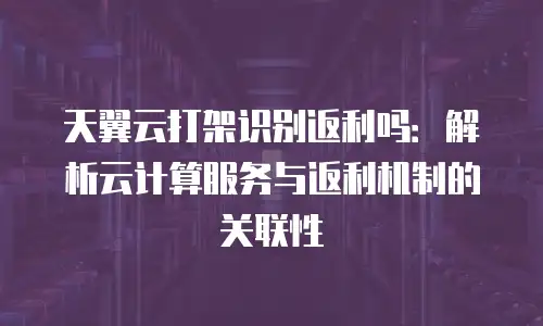 天翼云打架识别返利吗：解析云计算服务与返利机制的关联性