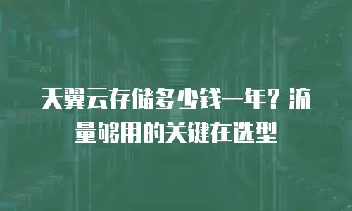 天翼云存储多少钱一年？流量够用的关键在选型