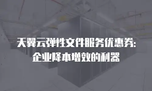 天翼云弹性文件服务优惠券：企业降本增效的利器