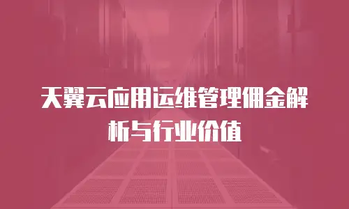 天翼云应用运维管理佣金解析与行业价值