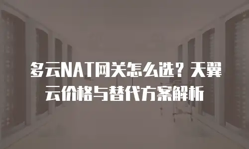 多云NAT网关怎么选？天翼云价格与替代方案解析