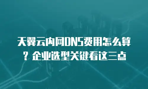 天翼云内网DNS费用怎么算？企业选型关键看这三点