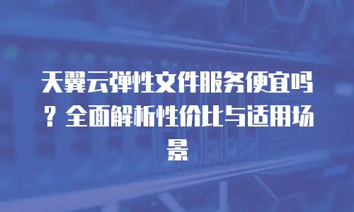 天翼云弹性文件服务便宜吗？全面解析性价比与适用场景