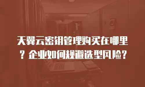 天翼云密钥管理购买在哪里？企业如何规避选型风险？