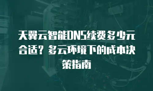 天翼云智能DNS续费多少元合适？多云环境下的成本决策指南