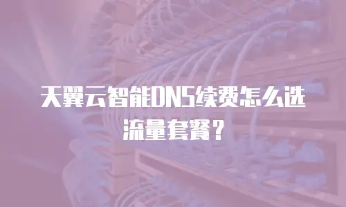 天翼云智能DNS续费怎么选流量套餐？