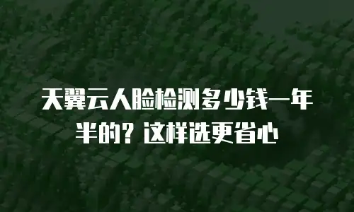 天翼云人脸检测多少钱一年半的？这样选更省心
