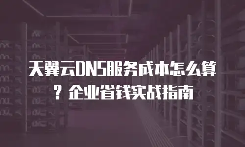 天翼云DNS服务成本怎么算？企业省钱实战指南
