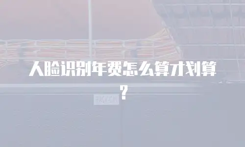 人脸识别年费怎么算才划算？