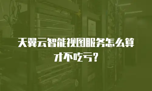 天翼云智能视图服务怎么算才不吃亏？