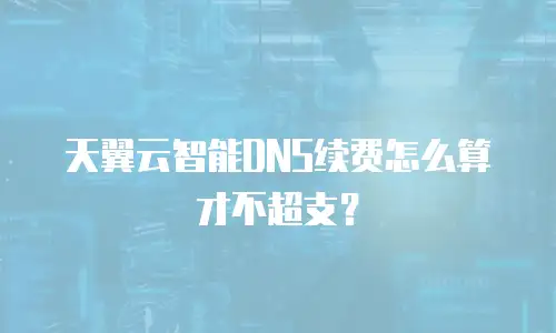 天翼云智能DNS续费怎么算才不超支？