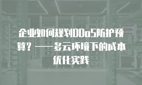 企业如何规划DDoS防护预算？&mdash;&mdash;多云环境下的成本优化实践