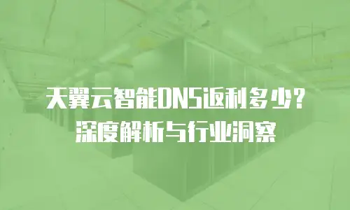 天翼云智能DNS返利多少？深度解析与行业洞察