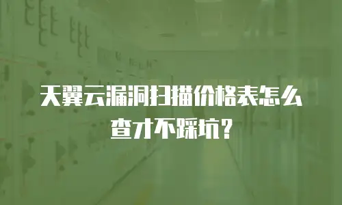 天翼云漏洞扫描价格表怎么查才不踩坑？