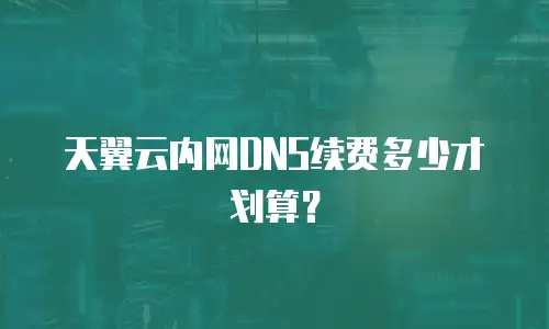 天翼云内网DNS续费多少才划算？