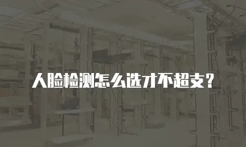 人脸检测怎么选才不超支？