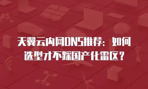 天翼云内网DNS推荐：如何选型才不踩国产化雷区？