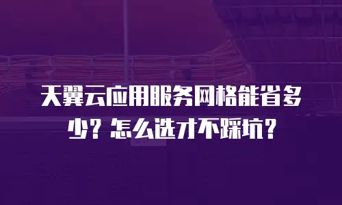 天翼云应用服务网格能省多少？怎么选才不踩坑？