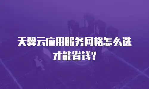 天翼云应用服务网格怎么选才能省钱？