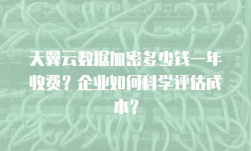 天翼云数据加密多少钱一年收费？企业如何科学评估成本？