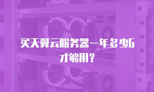 买天翼云服务器一年多少G才够用？