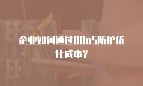 企业如何通过DDoS防护优化成本？