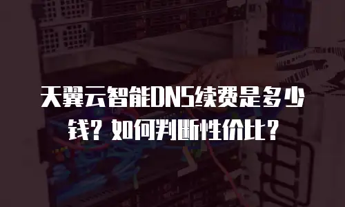 天翼云智能DNS续费是多少钱？如何判断性价比？
