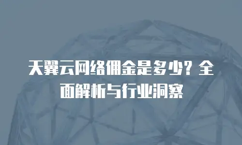 天翼云网络佣金是多少？全面解析与行业洞察