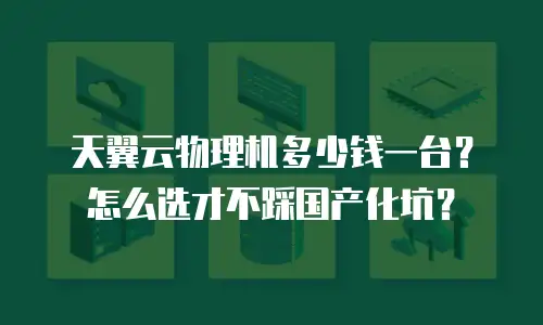 天翼云物理机多少钱一台？怎么选才不踩国产化坑？